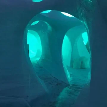 54727469_2134233616644541_4930028423176257536_n